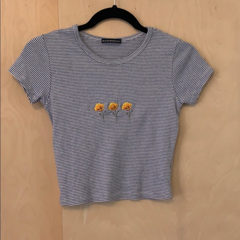 Brandy Melville cropped fitted tee